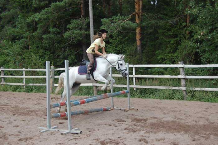 Hessu